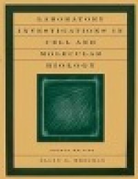 Image of Laboratory investigation in cell and Molecular Biology