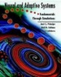 Image of Neural and Adaptive System : Fundamentals through simulation