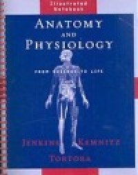Image of Anatomy and physiology : from science to life