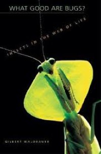 Image of What good are bugs? : insects in the web of life