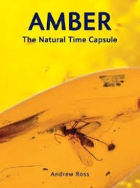 Image of Amber