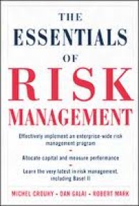 Image of The Essentials of risk management