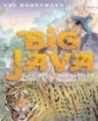 Image of Big java
