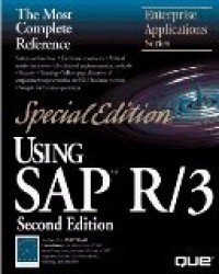 Image of Using SAP R/3