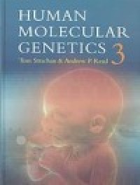Image of Human molecular genetics
