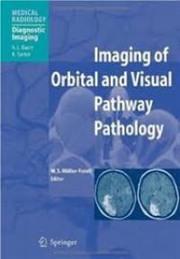 Imaging of orbital and visual pathway pathology
