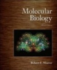Image of Molecular biology