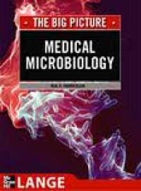 Medical microbiology & immunology : the big picture