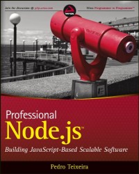 Professional node.js : biulding javascript-base scalable software